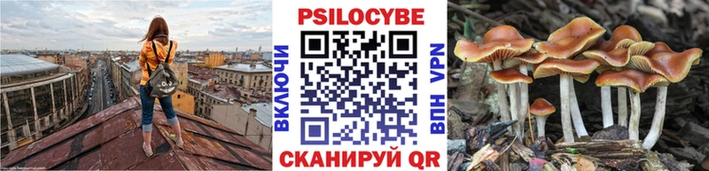 Псилоцибиновые грибы Magic Shrooms  продажа наркотиков  Медынь 
